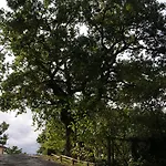 La Meria Семпрониано