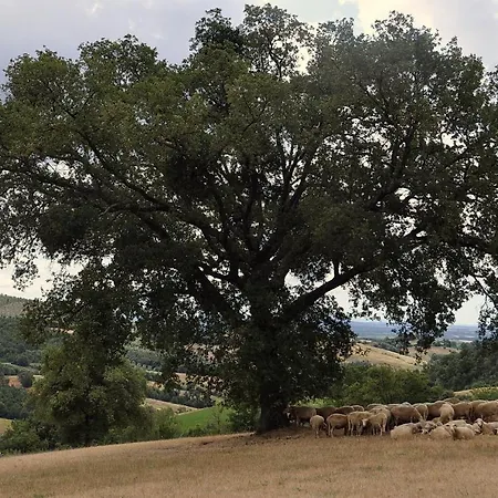 Séjour à la campagne La Meria *